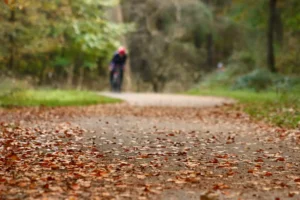 Fietsen in de herfst kleuren op de voorgrond
